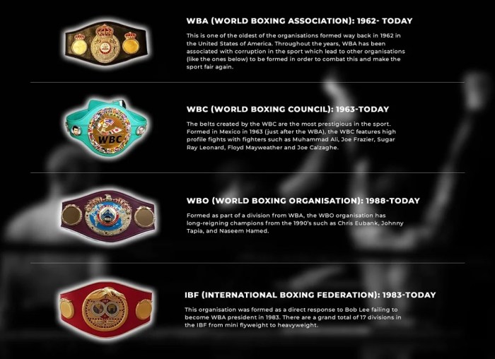 Current boxing world champions: Full list of WBC, WBA, WBO - khondrion.com
